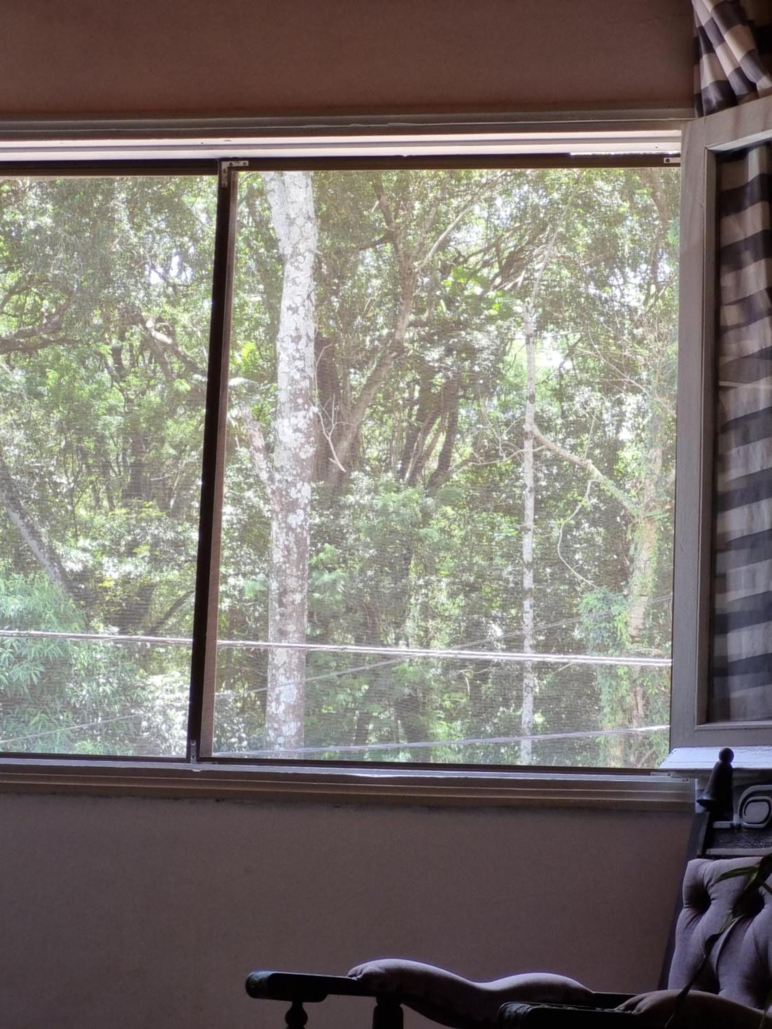 דירות פוארטו איגואסו Acuti Departamento מראה חיצוני תמונה